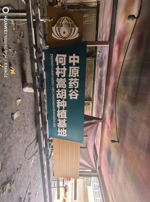 中原药谷精神堡垒
