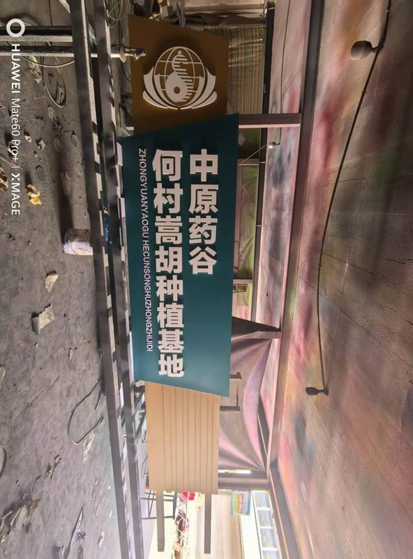 中原药谷精神堡垒